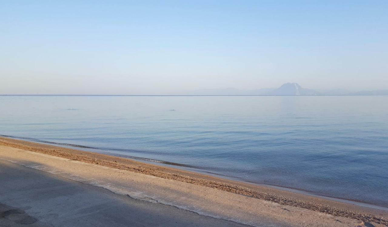 Patras Luxury Seaside House Βίλα Εξωτερικό φωτογραφία
